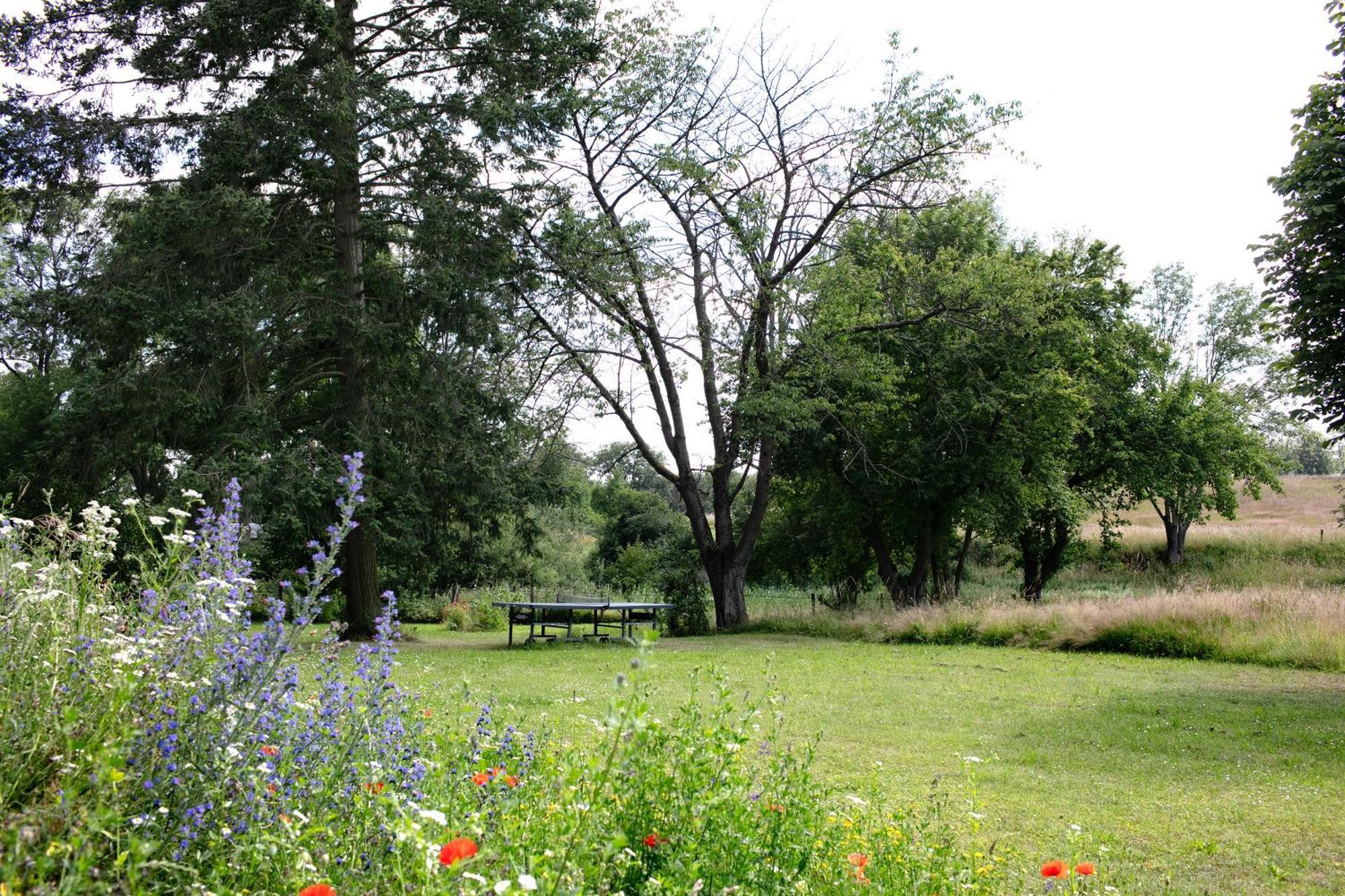 Apartament Hof Luisenau *