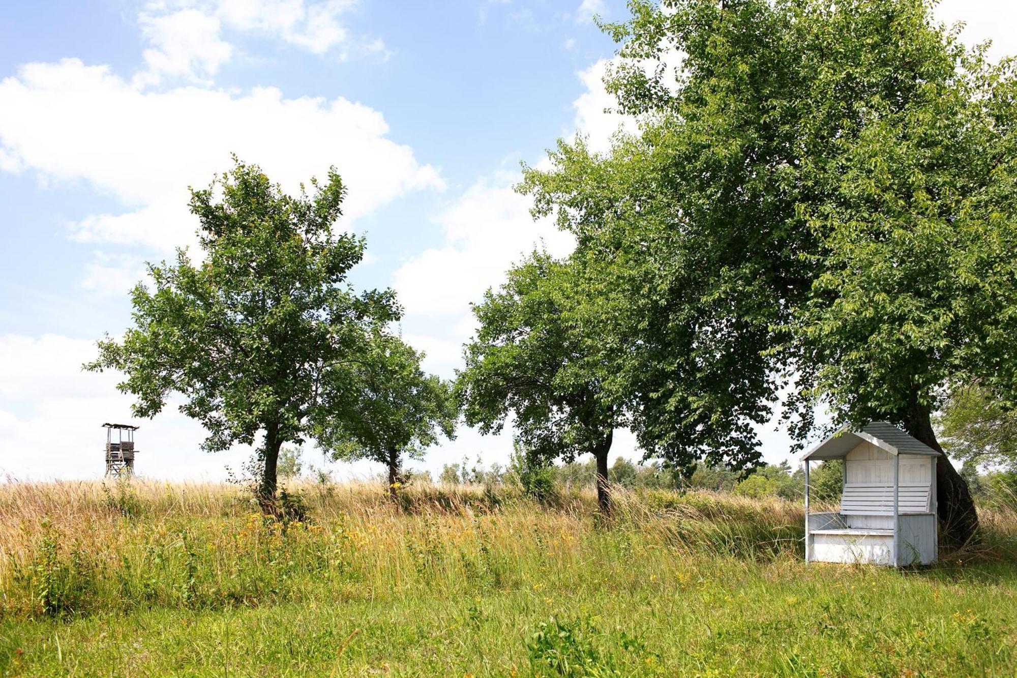 Hof Luisenau * Temmen-Ringenwalde